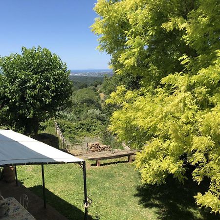 TOSCANA TOUR - Haus Malerin mit Meerblick eingezäuntem Garten Guardistallo Exterior foto