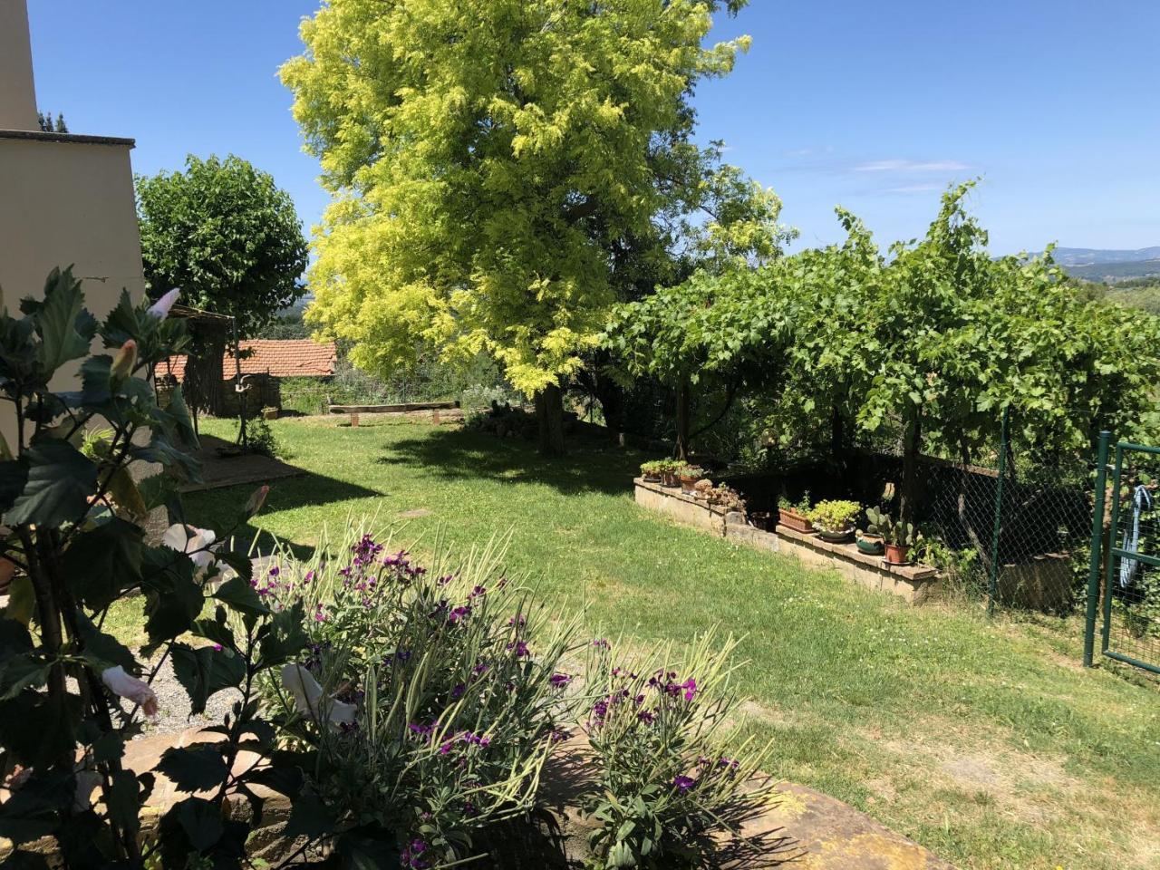 TOSCANA TOUR - Haus Malerin mit Meerblick eingezäuntem Garten Guardistallo Exterior foto