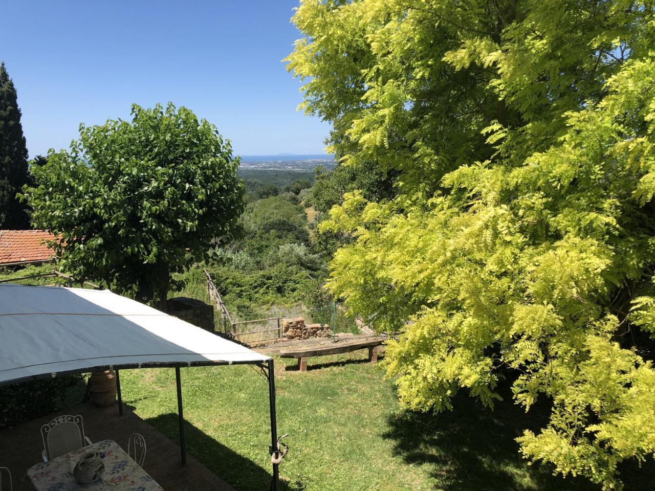 TOSCANA TOUR - Haus Malerin mit Meerblick eingezäuntem Garten Guardistallo Exterior foto